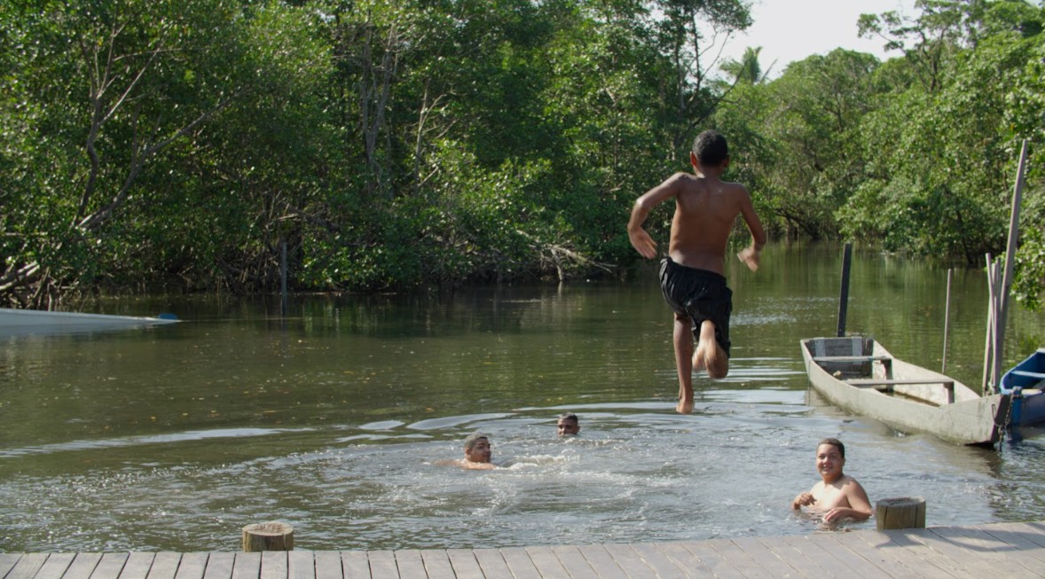 Documentário destaca relevância ambiental dos manguezais do Espírito Santo