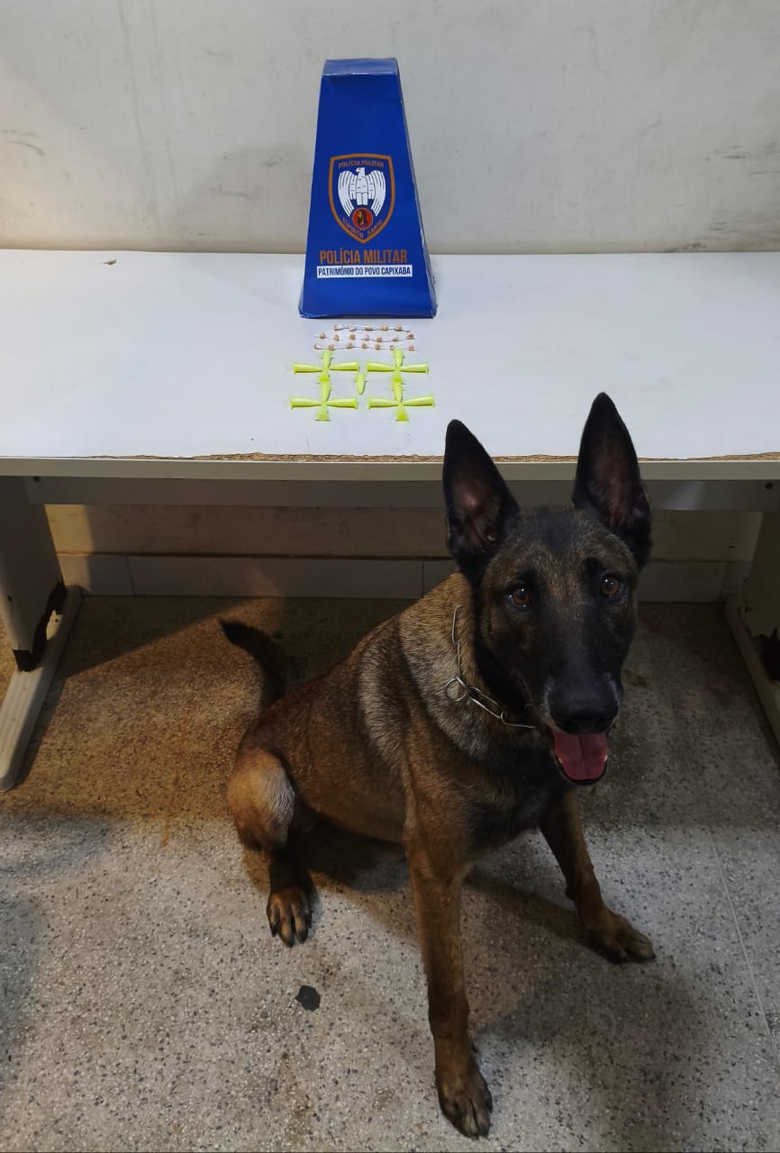 Polícia Militar realiza apreensões e prisão durante o último final de semana em Guarapari