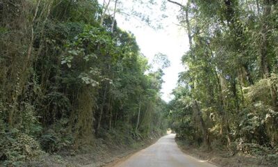 SÉRIE: Descubra os Parques Estaduais do Espírito Santo - Parque Estadual de Mata das Flores