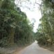 SÉRIE: Descubra os Parques Estaduais do Espírito Santo - Parque Estadual de Mata das Flores