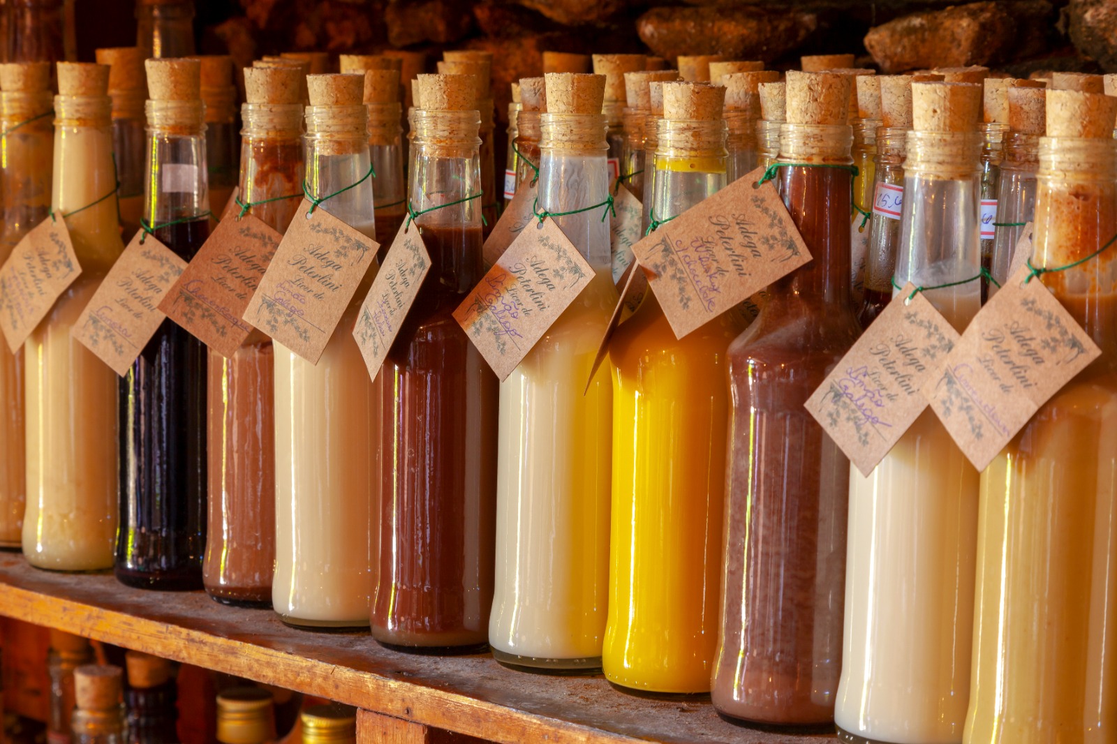 Atuação junto aos municípios amplia capacitação, conectividade e cadeias produtivas em SP