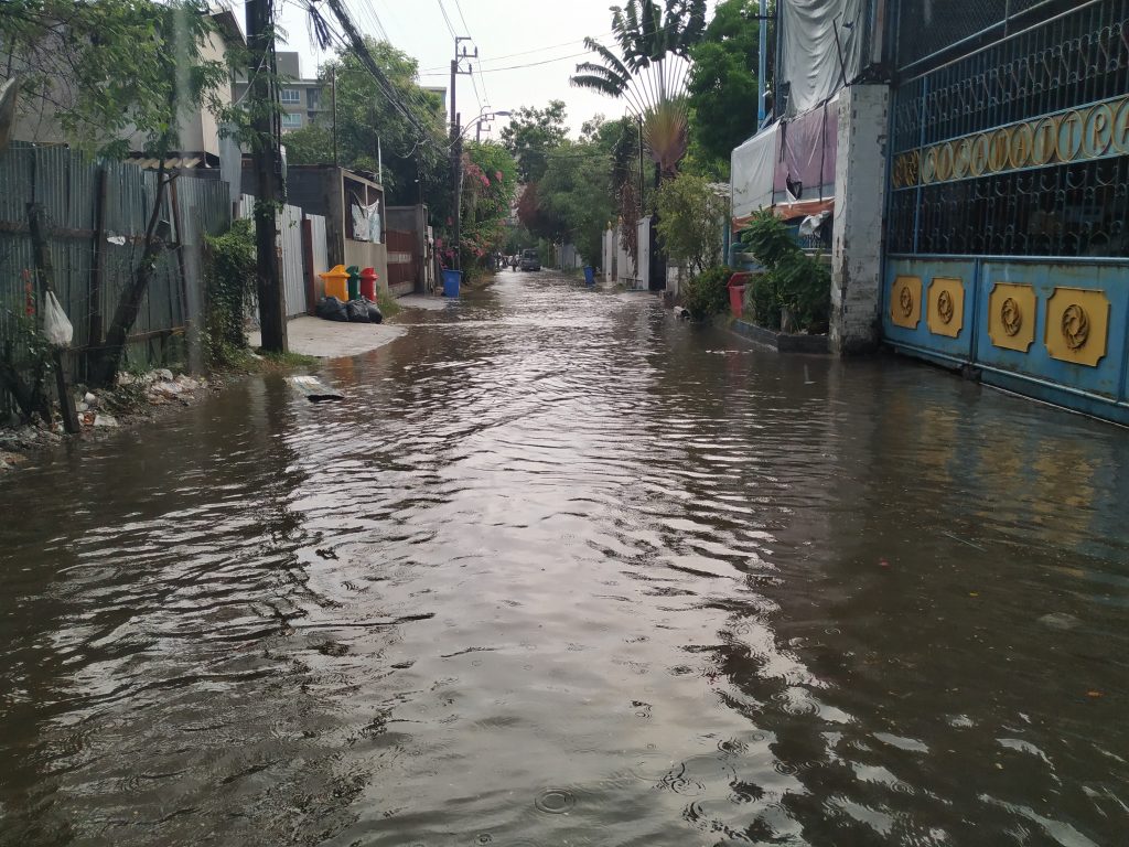 Leptospirose: infectologistas do HSPE alertam para o risco de diagnóstico tardio