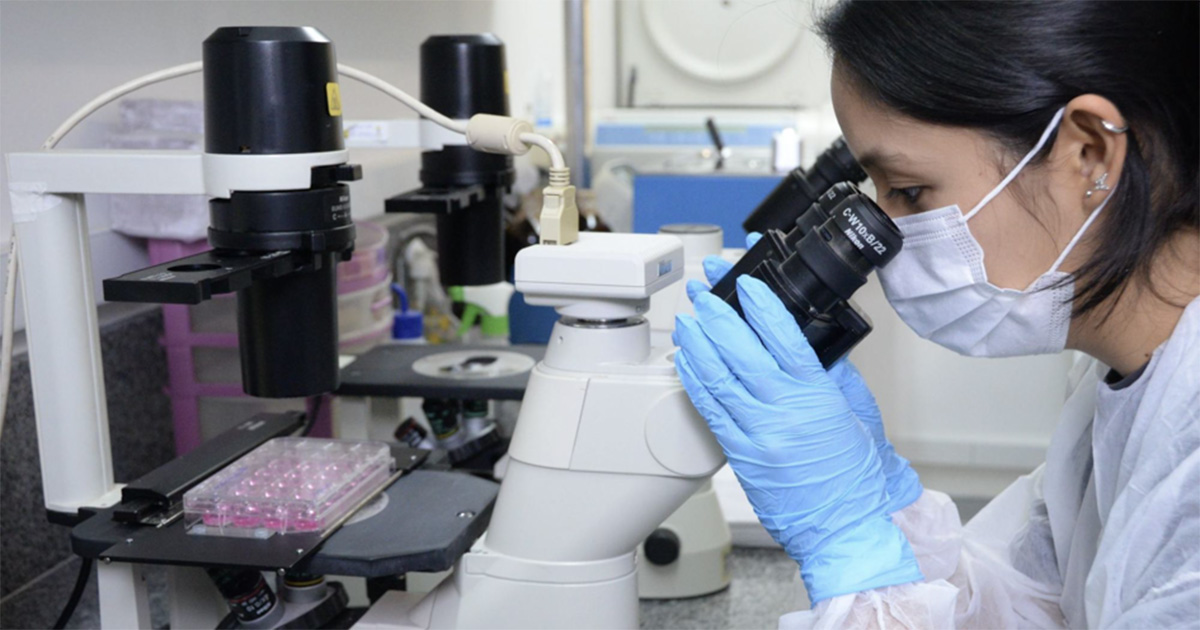 Pesquisa da USP avança em descoberta de interação entre sistema nervoso e imunológico