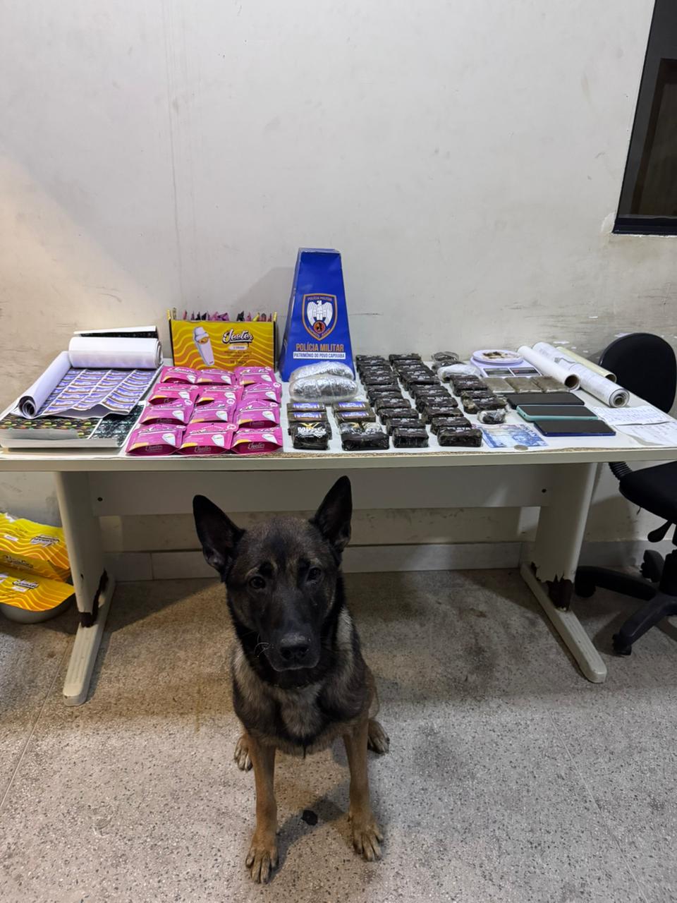 Prisões, apreensões e recuperação de bens em Guarapari