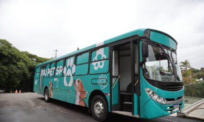 Pro Pet SP avança na região metropolitana de São Paulo com castrações gratuitas em janeiro