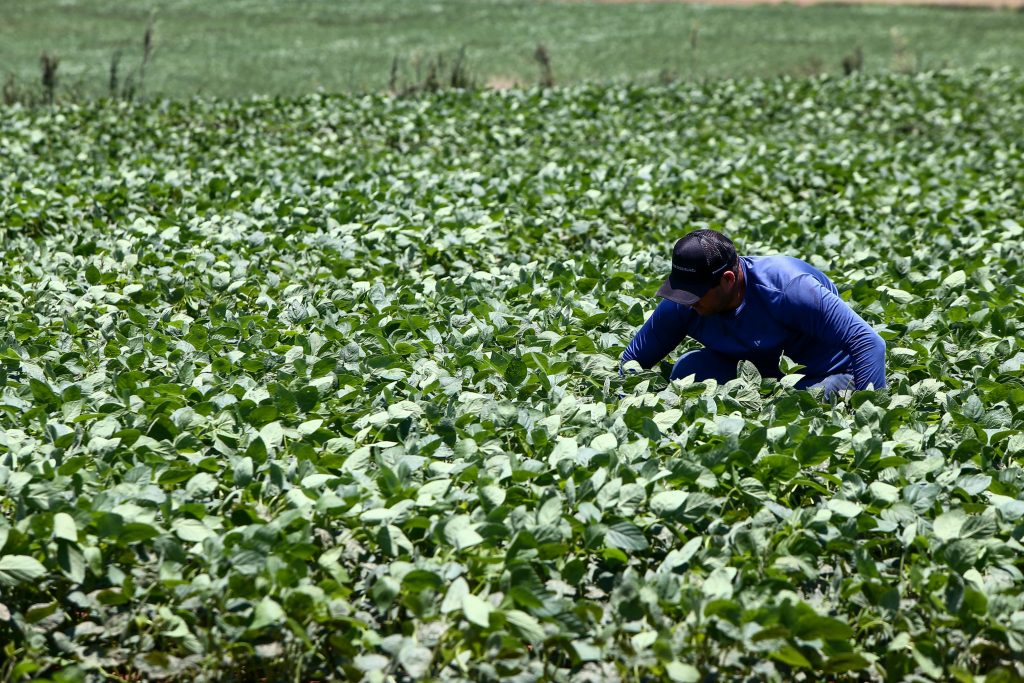 SP Produz investe R$ 35 milhões em cadeias produtivas para impulsionar o desenvolvimento regional