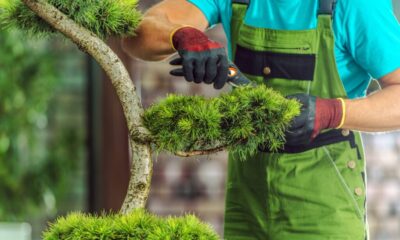 Sine de Linhares começa a semana com 197 ofertas de emprego com carteira assinada