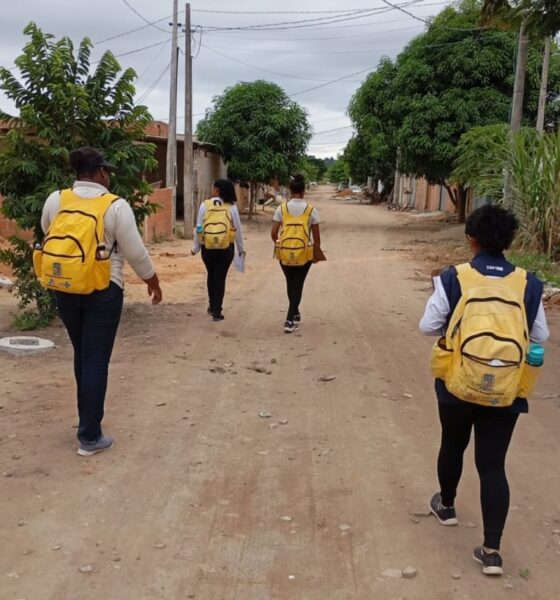 Prefeitura de Nova Venécia intensifica campanha de combate à dengue a partir de janeiro