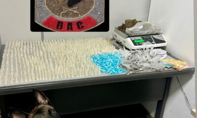 Ação do BAC resulta em expressiva apreensão de drogas durante operação em Cariacica