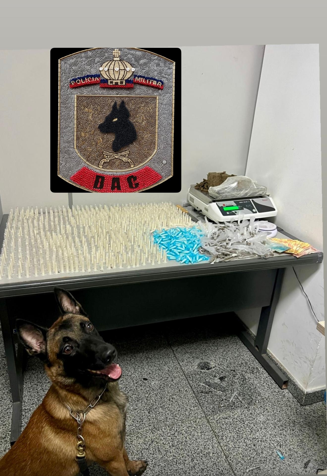 Ação do BAC resulta em expressiva apreensão de drogas durante operação em Cariacica