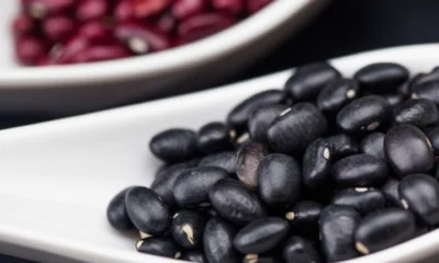 FEIJAO 2024 04 26 175142 bvsk