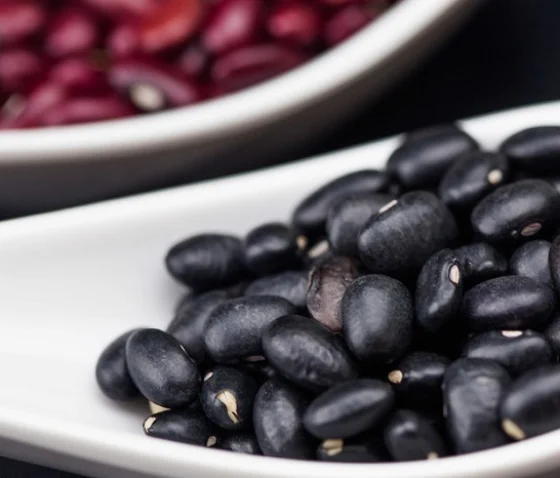 FEIJAO 2024 04 26 175142 bvsk