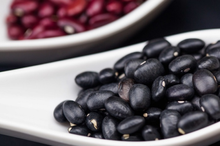 FEIJAO 2024 04 26 175142 bvsk