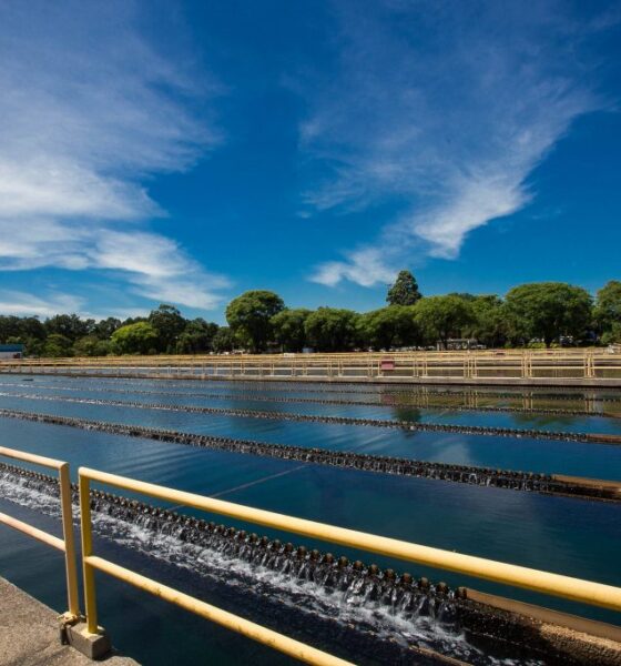 Governo de SP inicia 'Na Rota da Água' com mais de 1.100 entregas de frente de obras de água e saneamento