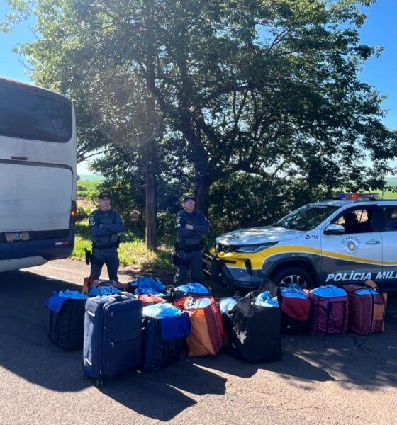 PM apreende mais de 350 kg de folhas de coca em Ourinhos