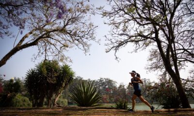 Previsão do tempo para sexta-feira (06), em SP: sensação de abafamento