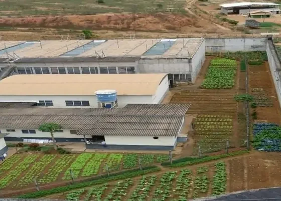 Detento é encontrado morto em cela de presídio em Colatina