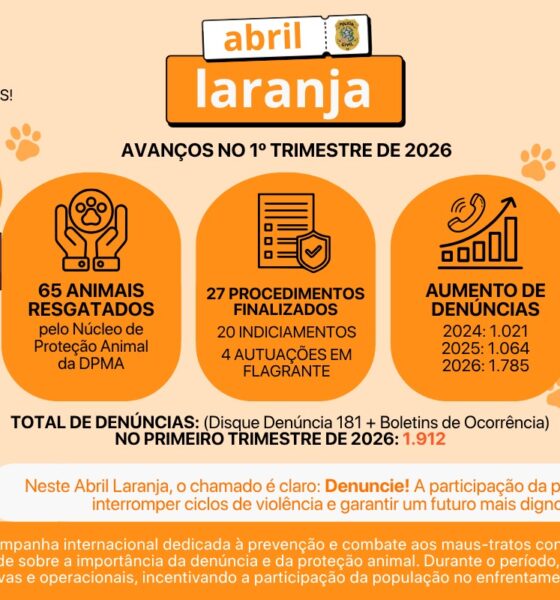 Abril Laranja: Espírito Santo avança no combate aos maus-tratos aos animais e reforça importância das denúncias