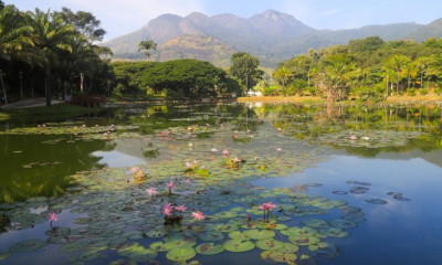 Feriadão no ES: parques na Serra são opção de lazer para a família