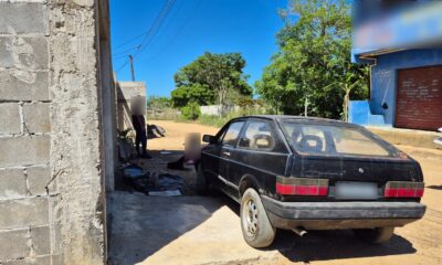 PCES identifica autor de abandono de animal na Praia do Morro, em Guarapari